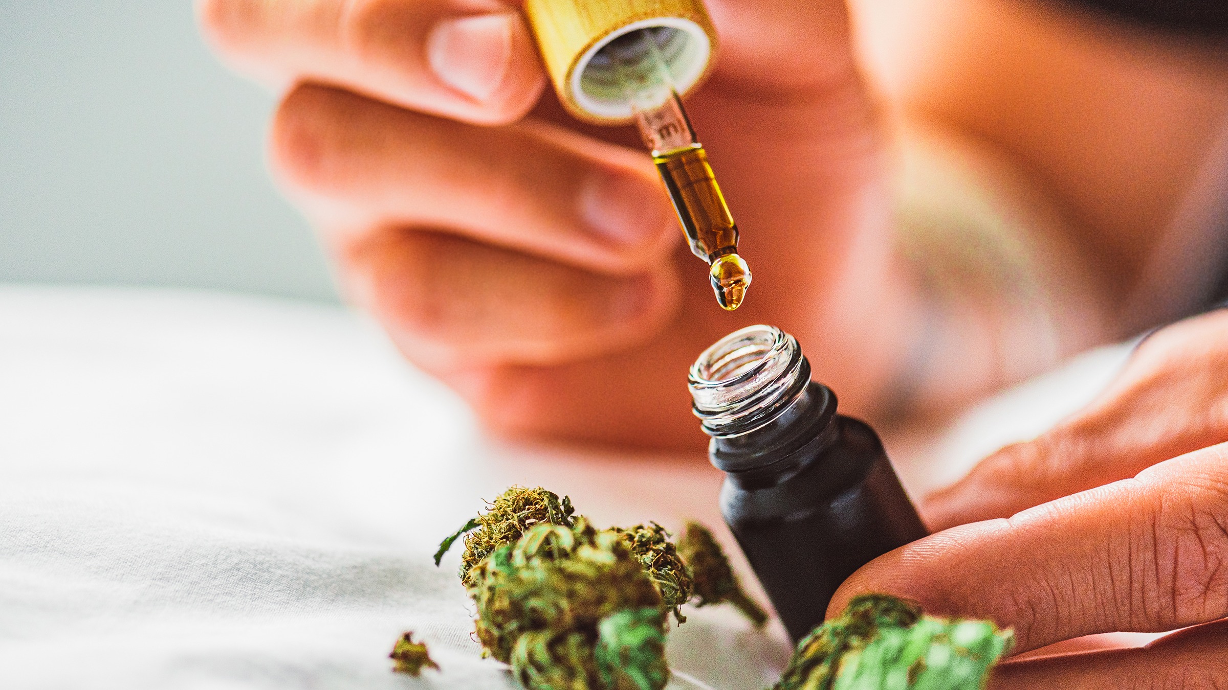 Things you should know about the CBD softgels