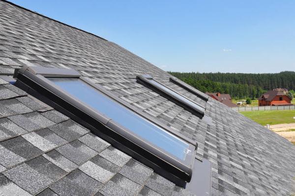 Exploring the Benefits of Professional Roofing Services